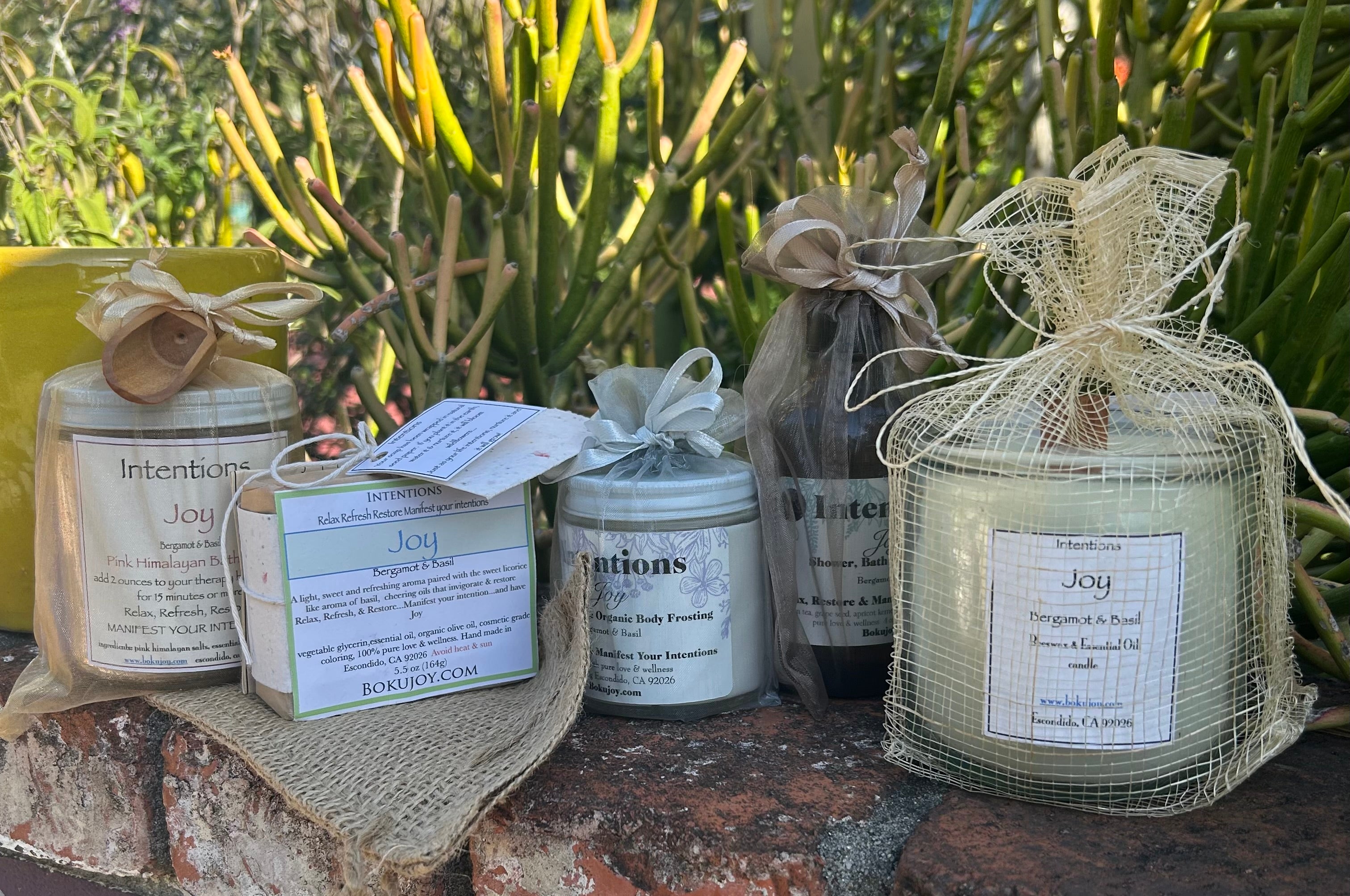 INTENTION TOOLKIT ~Joy