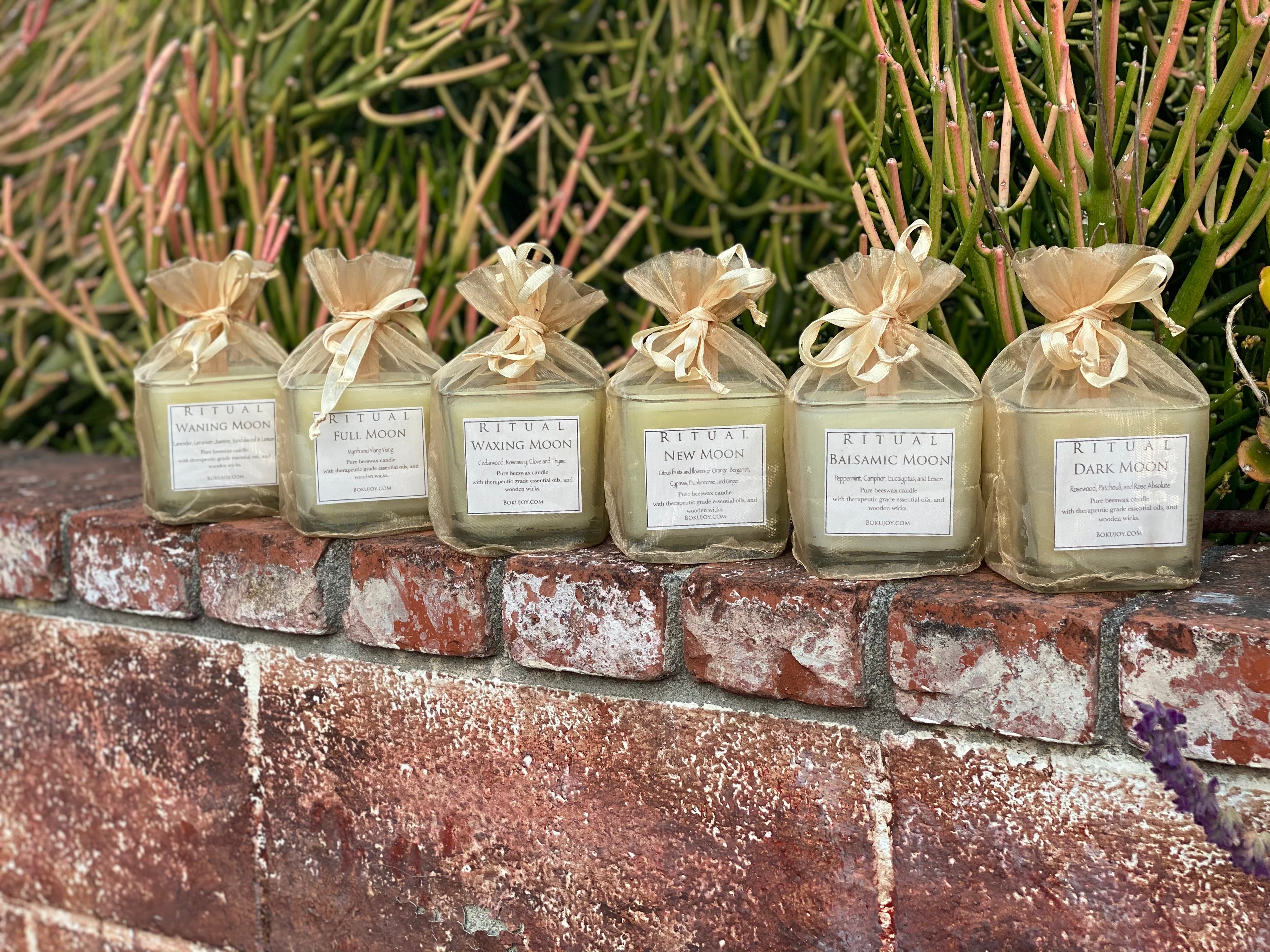 Rituals~The Moon Collection