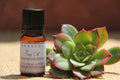 Frankincense Essential Oil