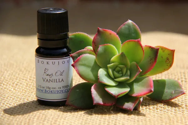 Vanilla Essential Oil