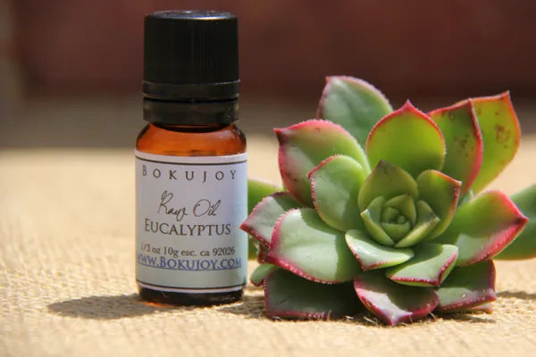 Eucalyptus Essential Oil