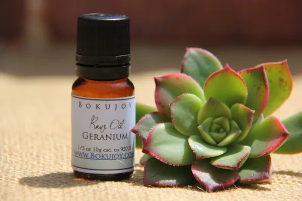 Geranium Essential Oil