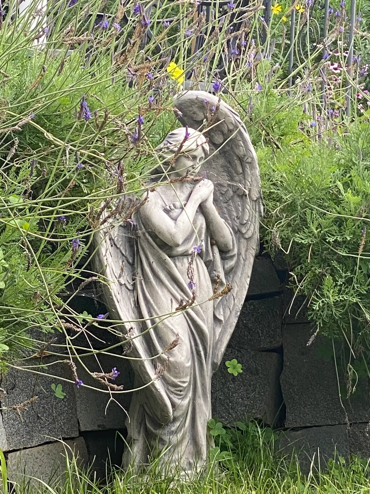 Take an Angelic Flight