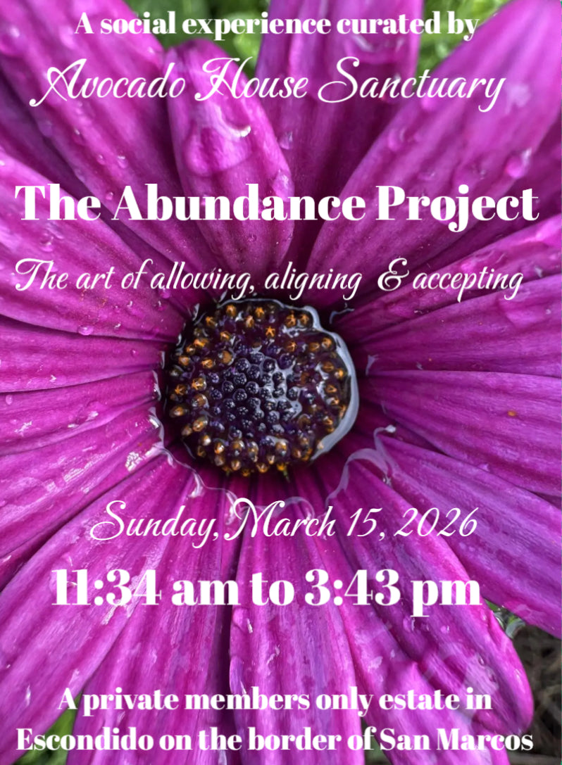 The Abundance Project~The Art of Aligning, Allowing & Accepting
