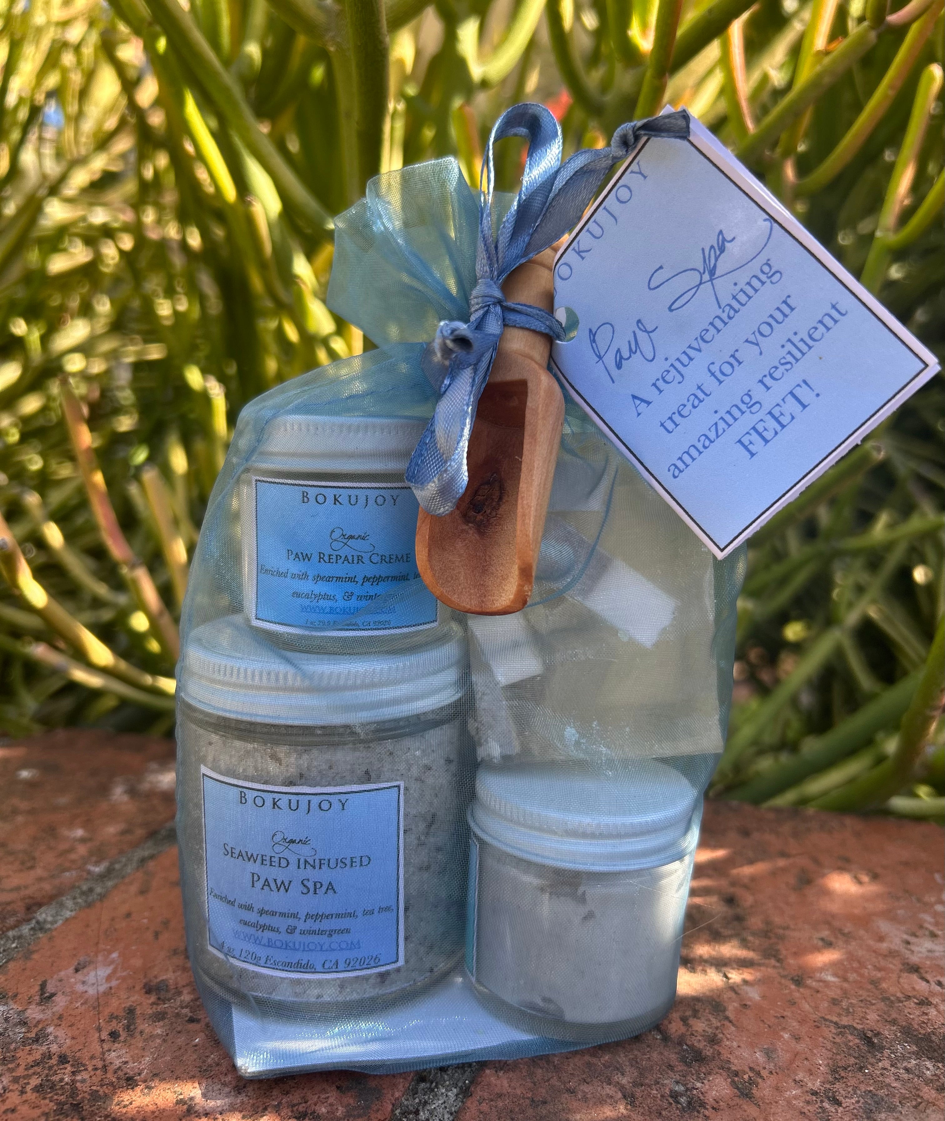 Pamper Your Paws Mini Spa Bag