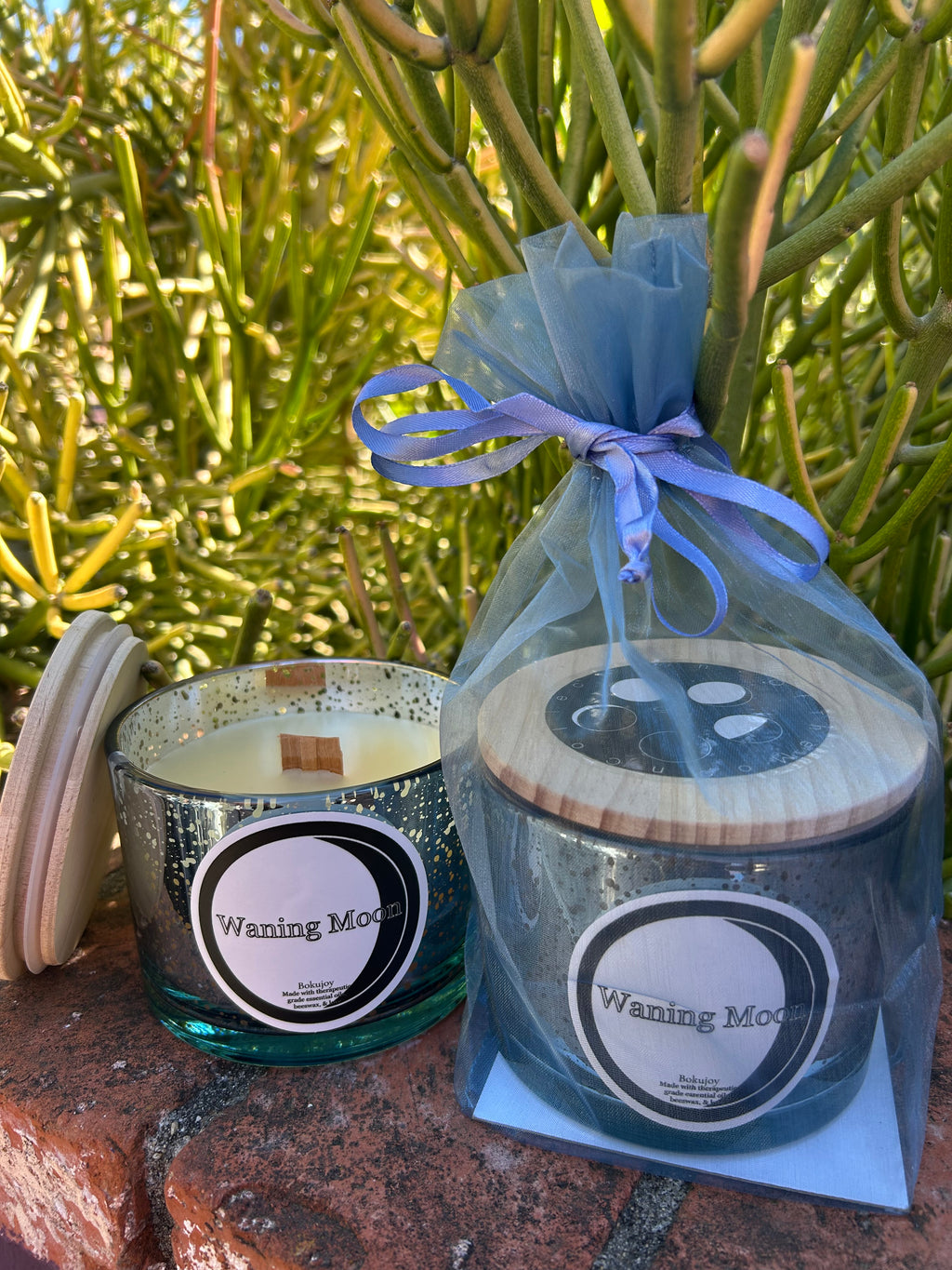 Rituals~The Moon Collection