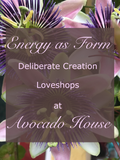 The Abundance Project~ Energy as Form™ ~ Member for a day $244