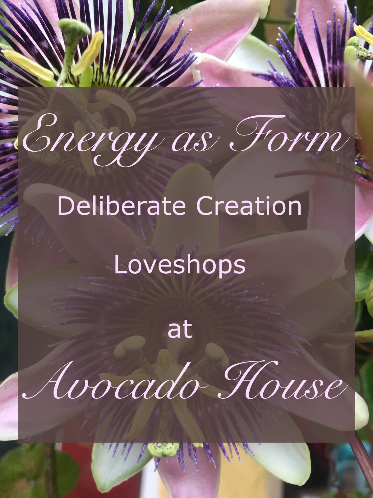 The Abundance Project~ Energy as Form™ ~ Member for a day $244