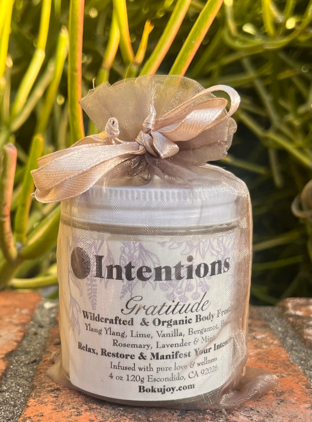 Intentions Organic Body Frosting
