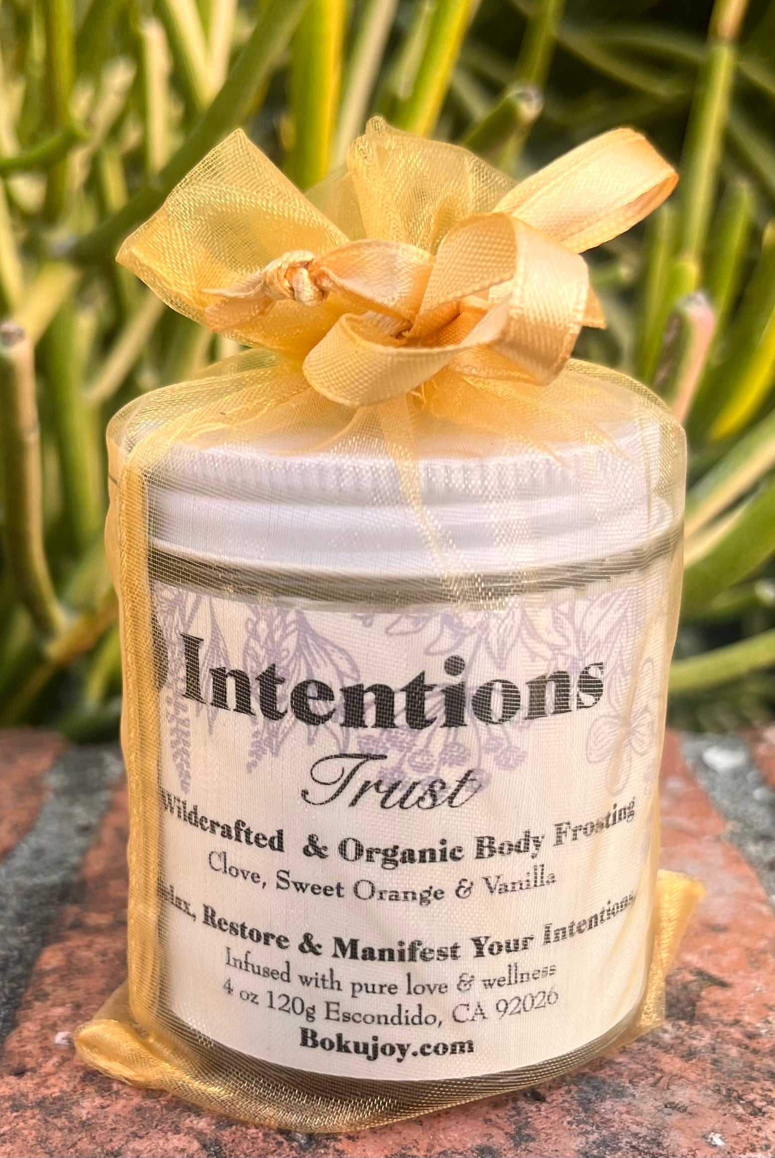 Intentions Organic Body Frosting